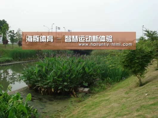 案例展示四(图1)