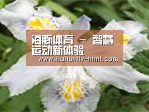 产品名称二