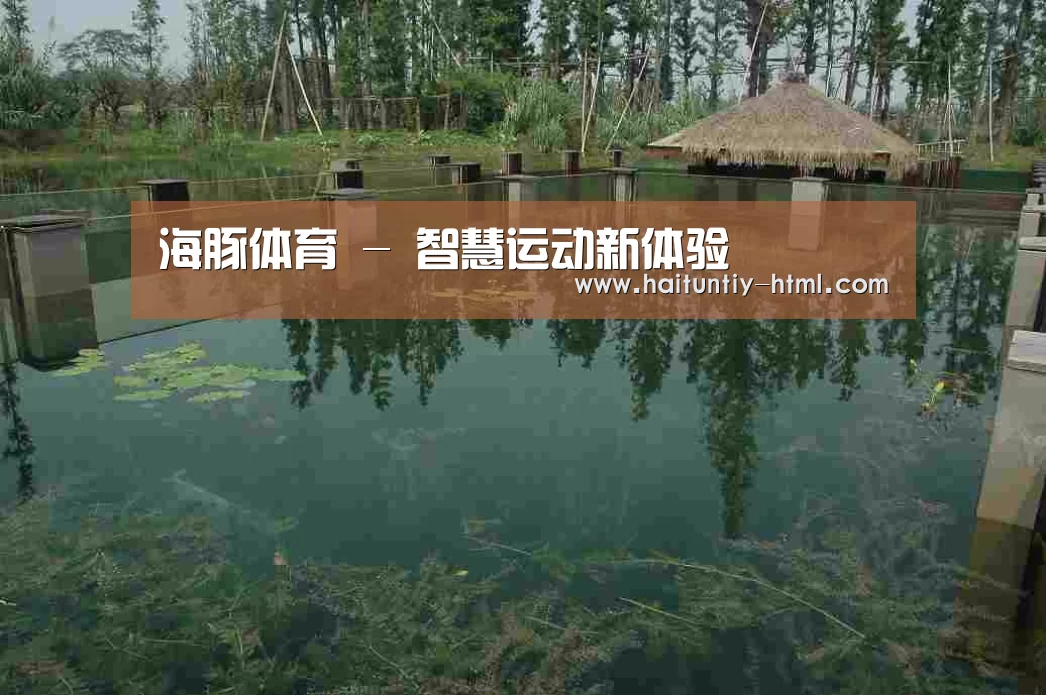 案例展示二