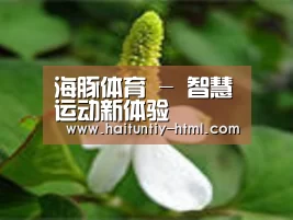 产品名称三