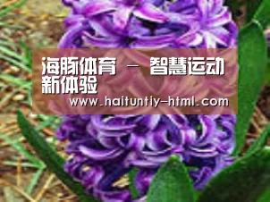 产品名称八