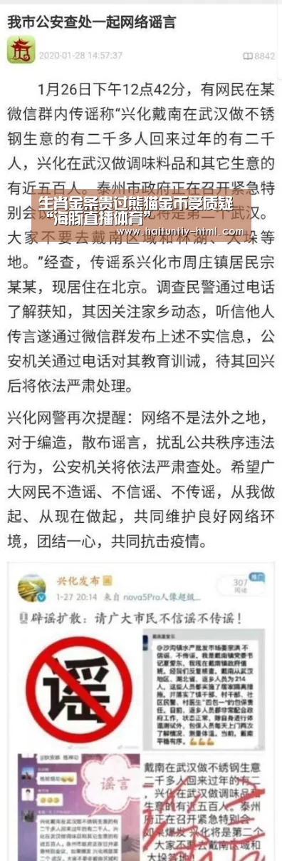 海豚直播app最新版nba