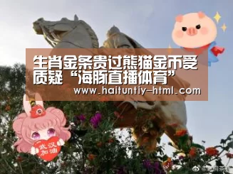 海豚直播体育