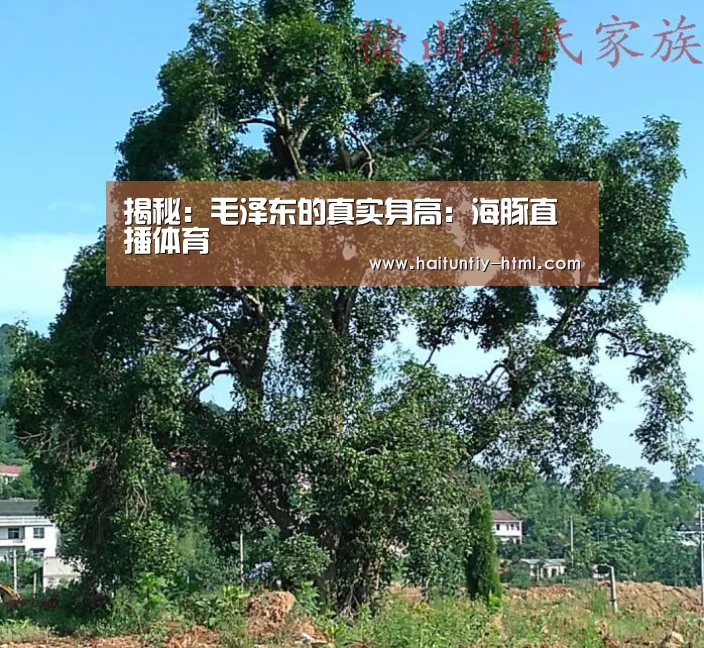 揭秘:毛泽东的真实身高:海豚直播体育(图1) 海豚直播nba直播免费观看