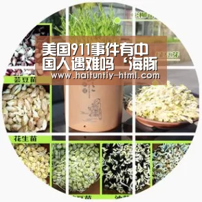 美国911事件有中国人遇难吗‘海豚直播nba直播免费观看’(图1) 海豚直播app最新版nba