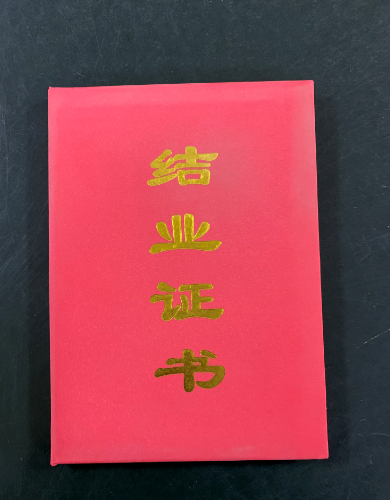 海豚直播体育