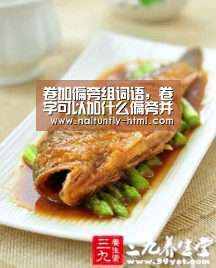 海豚直播体育