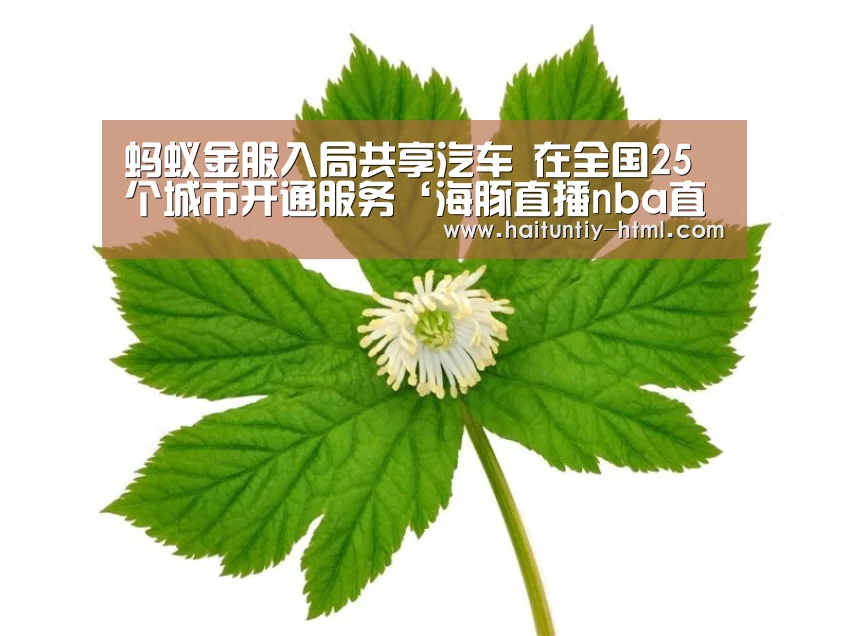 蚂蚁金服入局共享汽车 在全国25个城市开通服务‘海豚直播nba直播免费观看’(图3) 海豚直播app最新版nba