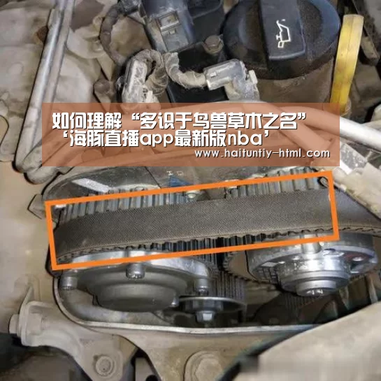 海豚直播体育